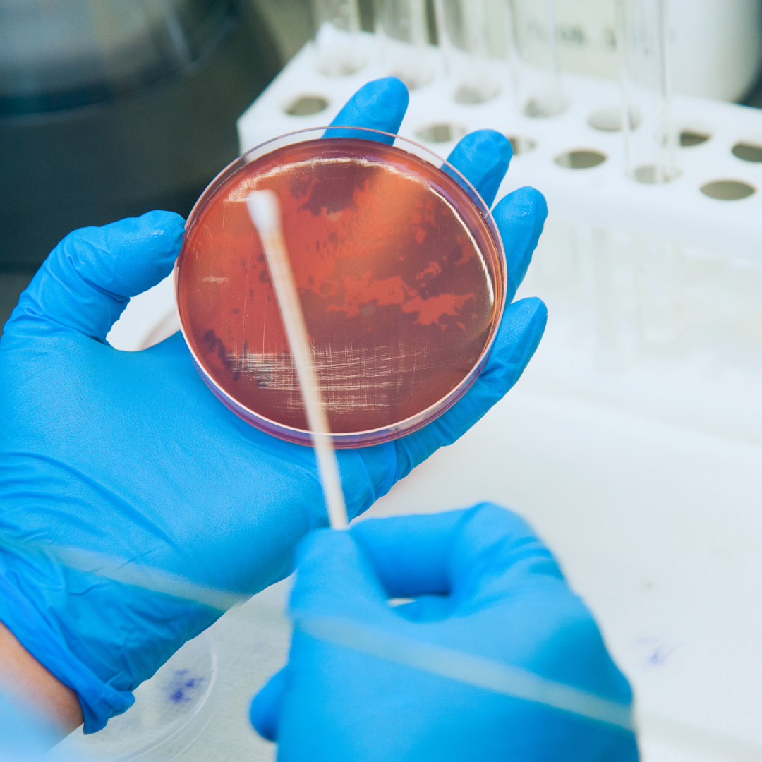 From The Lab: Hyperprotonation Against Bacteria And Biofilm Cultures